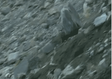 平静湖面背后,是一项“疯狂工程”