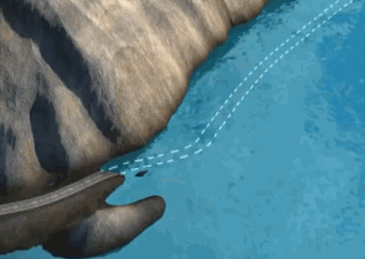 示意图：两年中下降的水位仍无法使原规划路面完全露出