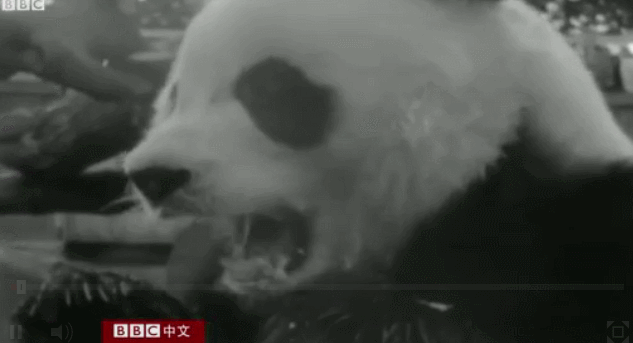 回顾中国六十年"滚滚外交",BBC有点酸… 问号什么意思?当然有BBC自己的意思了……