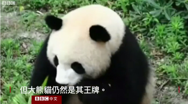 回顾中国六十年"滚滚外交",BBC有点酸…