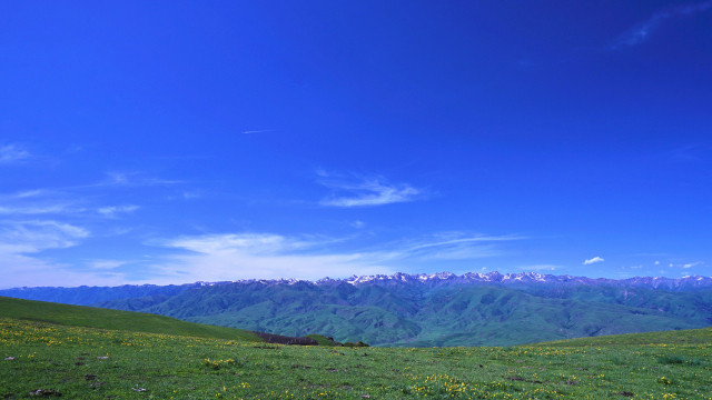 山花烂漫时,生活在别处-穿越那拉提