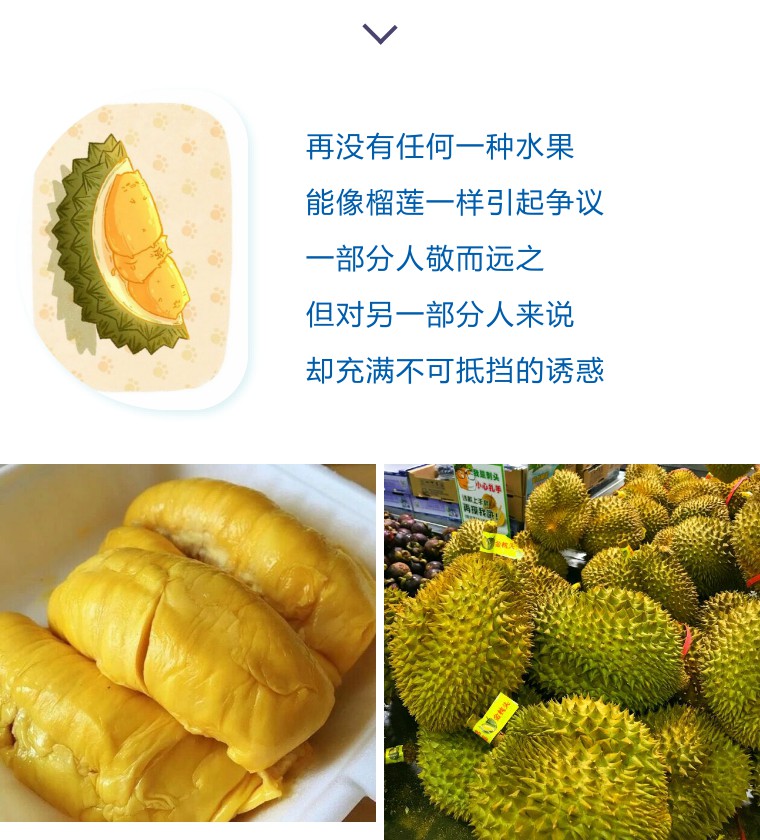 又到了一年中榴莲最优惠的季节 朋友圈 被各大超市抢购榴莲的壮观场面