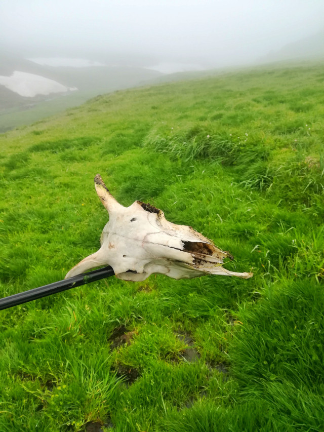 山花烂漫时,生活在别处-穿越那拉提