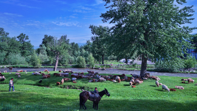 山花烂漫时,生活在别处-穿越那拉提