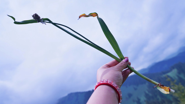 山花烂漫时,生活在别处-穿越那拉提