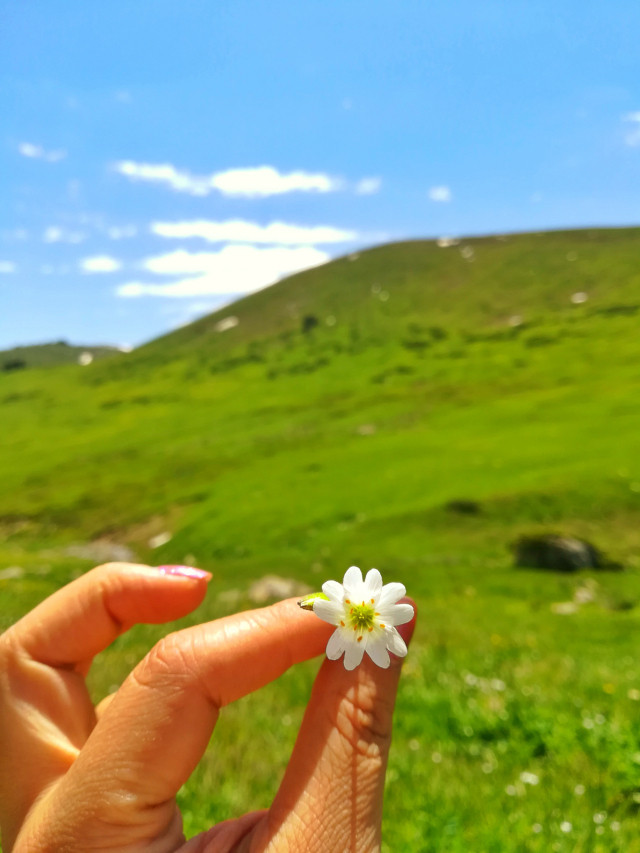 山花烂漫时,生活在别处-穿越那拉提