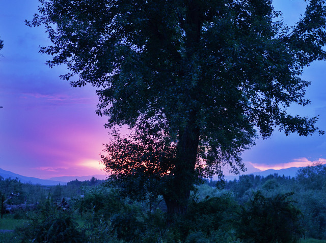 山花烂漫时,生活在别处-穿越那拉提