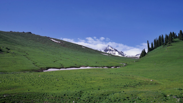 山花烂漫时,生活在别处-穿越那拉提