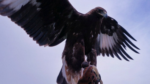 山花烂漫时,生活在别处-穿越那拉提