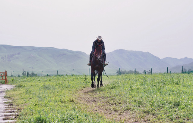 山花烂漫时,生活在别处-穿越那拉提
