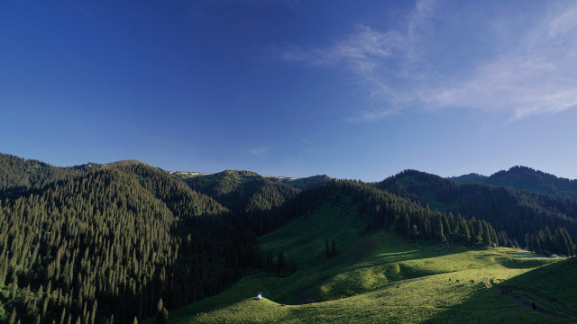 山花烂漫时,生活在别处-穿越那拉提
