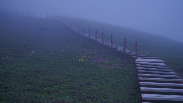 山花烂漫时,生活在别处-穿越那拉提