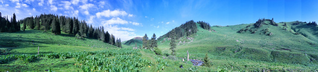 山花烂漫时,生活在别处-穿越那拉提