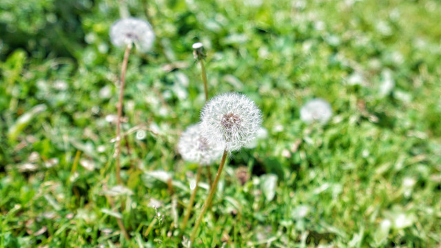 山花烂漫时,生活在别处-穿越那拉提