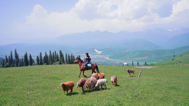 山花烂漫时,生活在别处-穿越那拉提