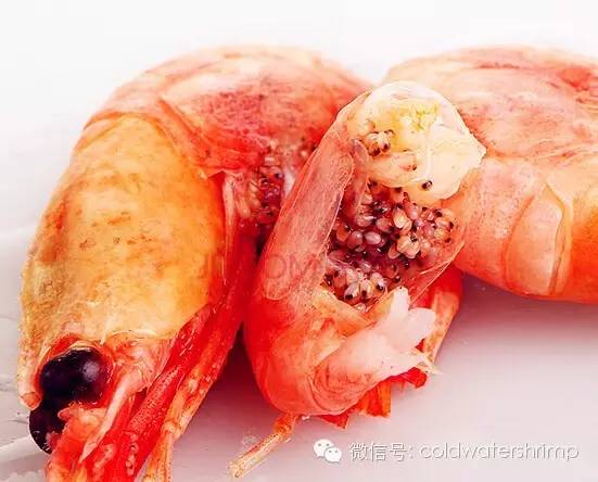 营养美味的野生北极虾虾籽知多少? 营养美味的野生北极虾虾籽知多少?