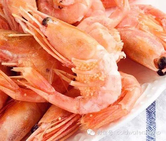营养美味的野生北极虾虾籽知多少? 营养美味的野生北极虾虾籽知多少?
