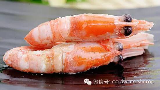 营养美味的野生北极虾虾籽知多少? 营养美味的野生北极虾虾籽知多少?