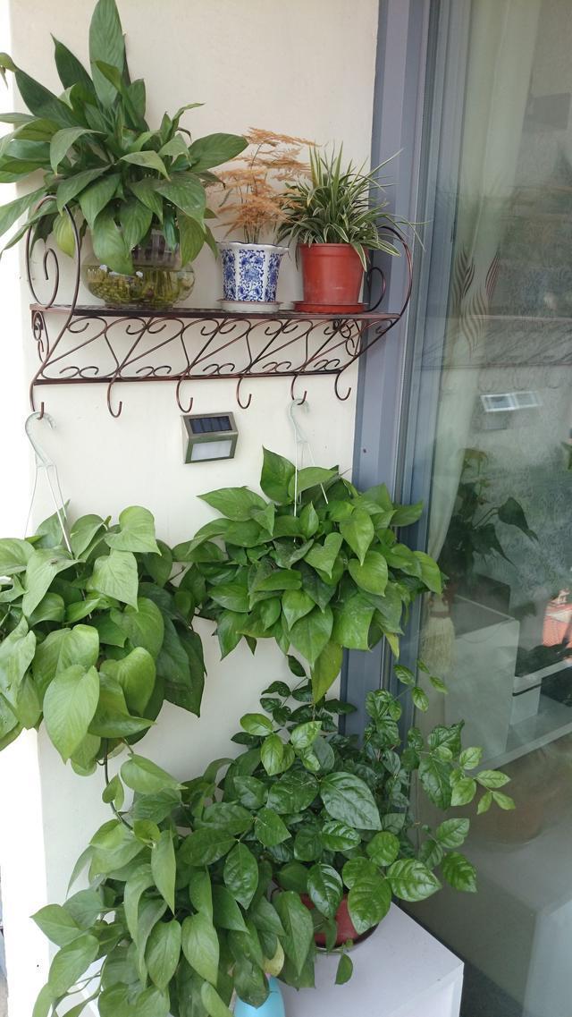 晒晒我家温馨小房，住了半年也有小遗憾，总结16条经验给大家