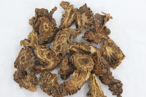中药补肾方干预骨性关节炎软骨中基质金属蛋白酶13的表达