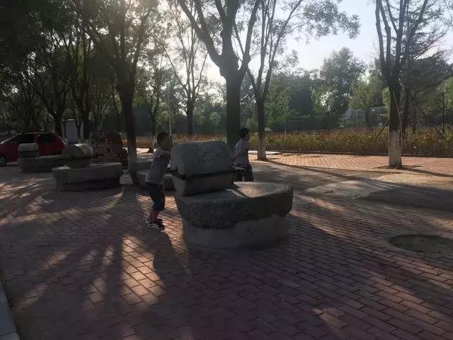 咱丰台发现一个怪村，更怪的是~小伙伴都抢着来租地