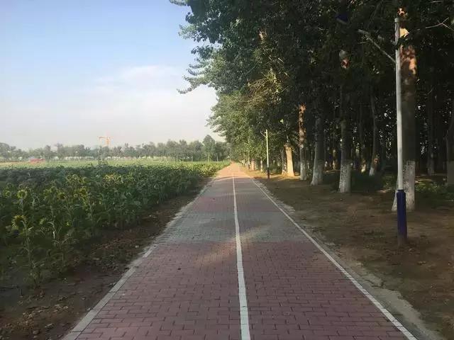 咱丰台发现一个怪村，更怪的是~小伙伴都抢着来租地