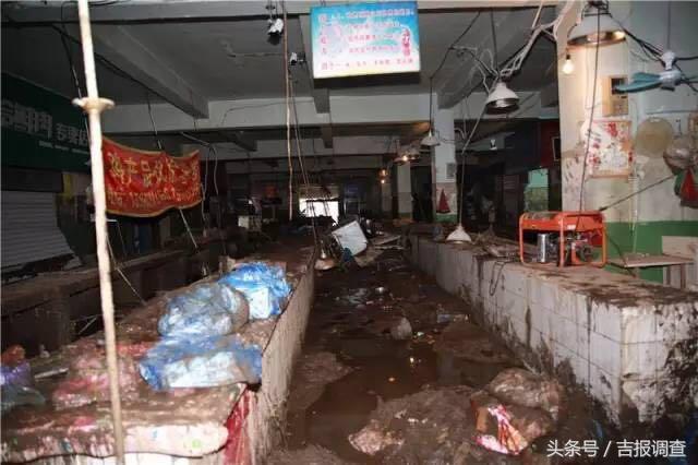 武警吉林省总队全力投入永吉灾后重建！帮受灾群众恢复生产生活！