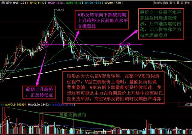 V形顶的识别与运用技巧 V形顶的识别与运用技巧