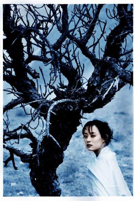 何润东狠狠追了孙俪三次,结果三次都弄出人命