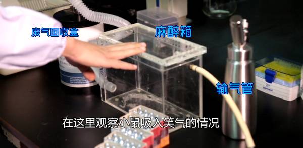 又是这玩意!90后租客靠它夜夜欢歌,杭州警方在屋内一次查获数百箱!