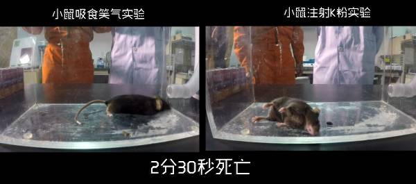又是这玩意!90后租客靠它夜夜欢歌,杭州警方在屋内一次查获数百箱!