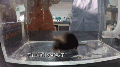 又是这玩意!90后租客靠它夜夜欢歌,杭州警方在屋内一次查获数百箱!