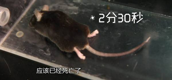 又是这玩意!90后租客靠它夜夜欢歌,杭州警方在屋内一次查获数百箱!
