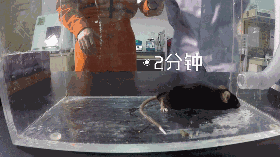 又是这玩意!90后租客靠它夜夜欢歌,杭州警方在屋内一次查获数百箱!