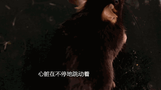 又是这玩意!90后租客靠它夜夜欢歌,杭州警方在屋内一次查获数百箱!