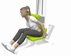 竖脊肌,你绝对需要锻炼的肌肉!