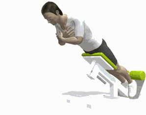 竖脊肌,你绝对需要锻炼的肌肉!