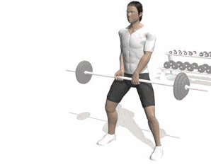 竖脊肌,你绝对需要锻炼的肌肉!