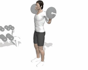 竖脊肌,你绝对需要锻炼的肌肉!