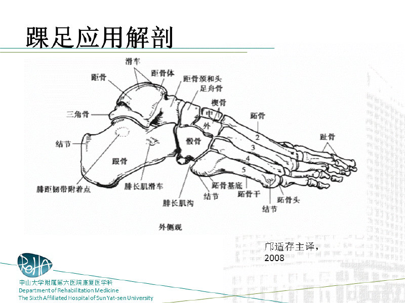 部分踝关节与足部的物理治疗资料