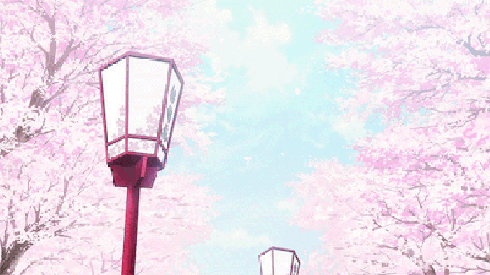 未来,杭州要多一片“樱花之海”