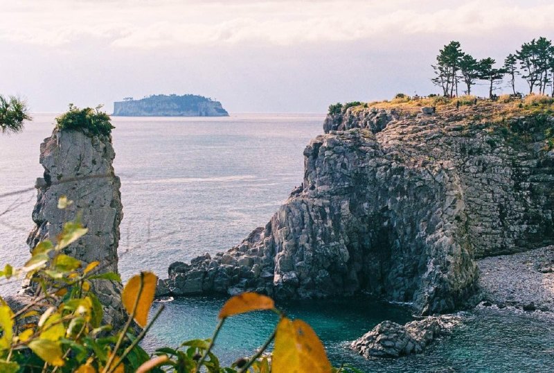 2017年49个免签\/电子签证国家大汇总_澳际留