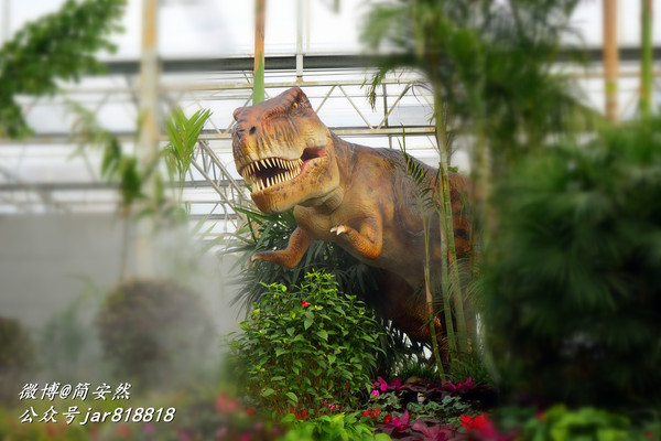 草长莺飞花世界,仙境般美翻的乡村公园