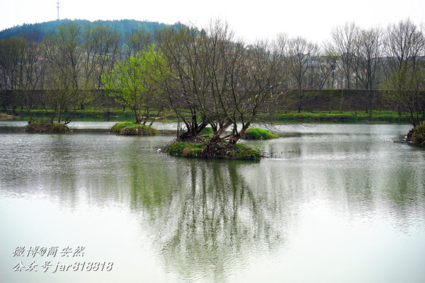 草长莺飞花世界,仙境般美翻的乡村公园