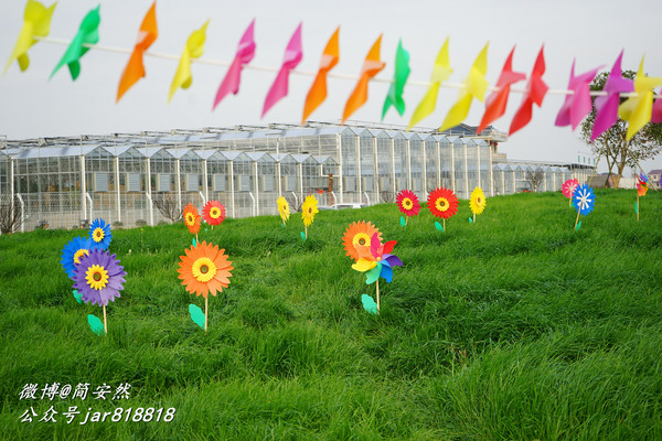 草长莺飞花世界,仙境般美翻的乡村公园