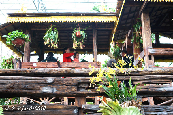 草长莺飞花世界,仙境般美翻的乡村公园