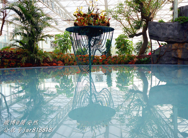 草长莺飞花世界,仙境般美翻的乡村公园