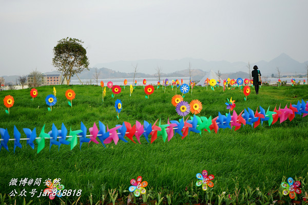 草长莺飞花世界,仙境般美翻的乡村公园