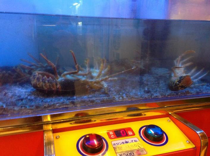 想要成为抓娃娃机高手的你有必要读读这篇指南