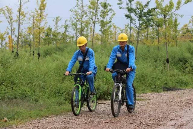 揭秘南方电网职工的薪资待遇,原来南网人挣这